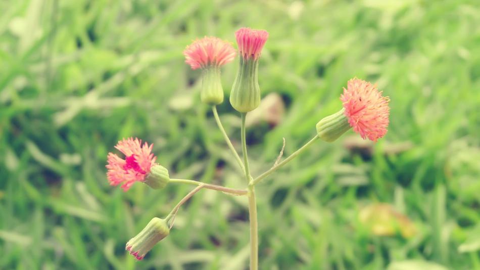 中年女人幸福的标准是什么,中年女人幸福的秘诀