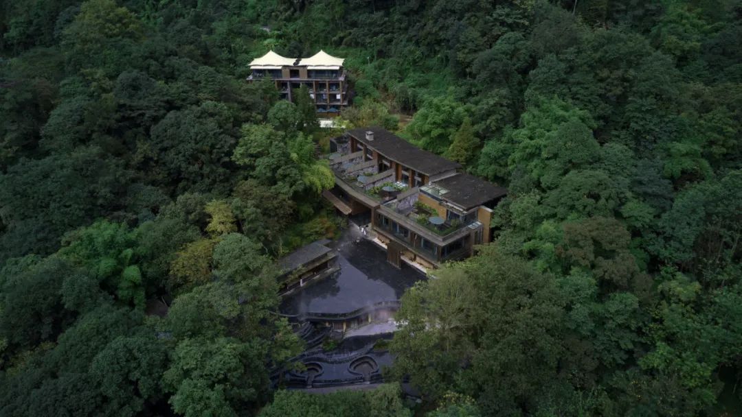 特色民宿受热捧,被疫情耽误的民宿