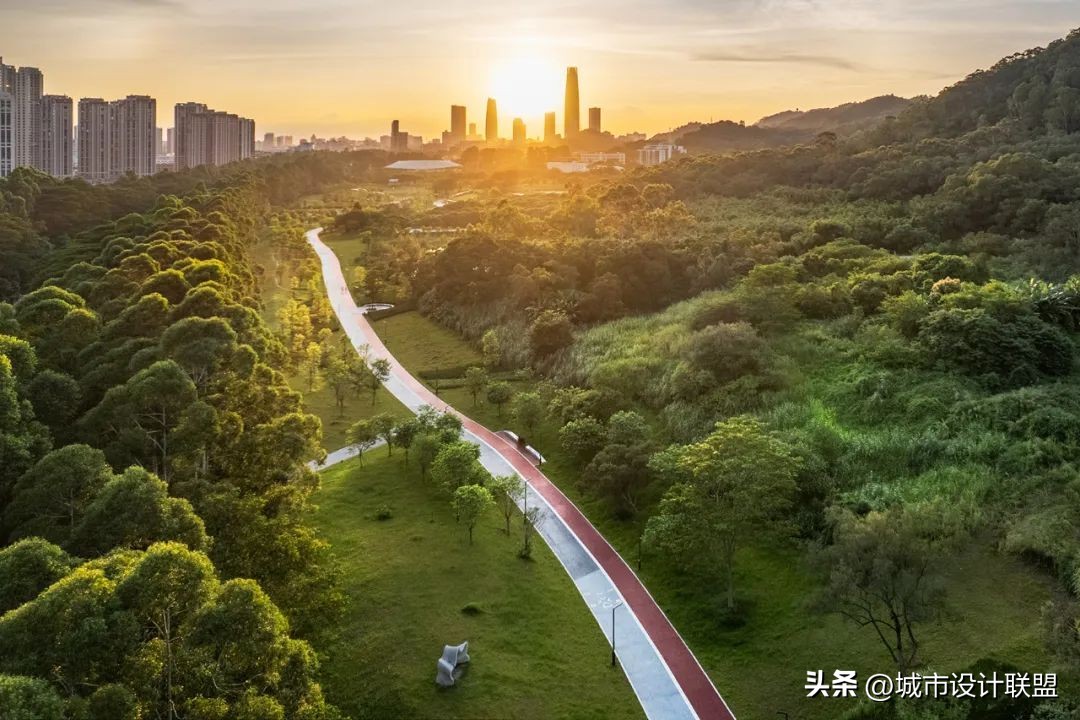 城市景观道路设计,城市景观道路结构