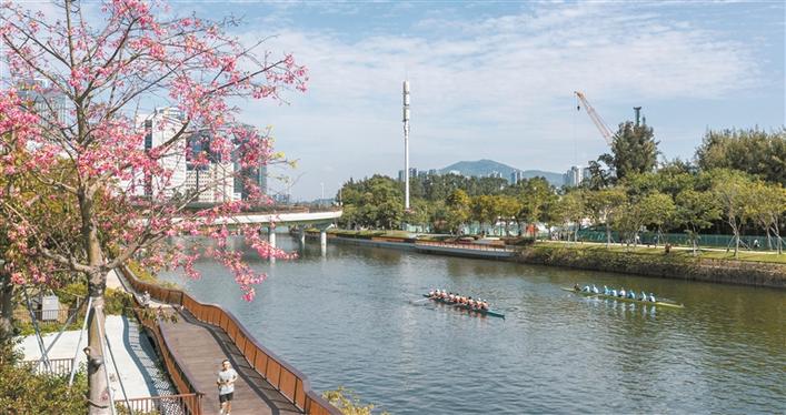 航拍深圳城市全景风光,大深圳美景图片