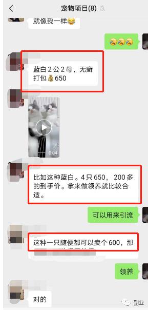 猎人先生商业经，0成本空手套白狼，流量变现从未如此简单！