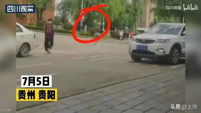 被黑天鹅打得措手不及,学校黑天鹅被学生拿