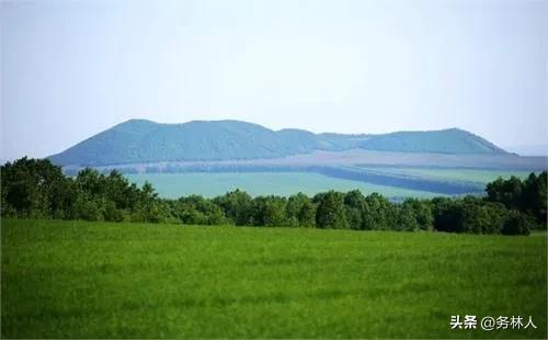 琛￠槼娌硅尪浜т笟寤鸿璋冪爺鎶ュ憡,婀樻江娌硅尪浜т笟鍙戝睍