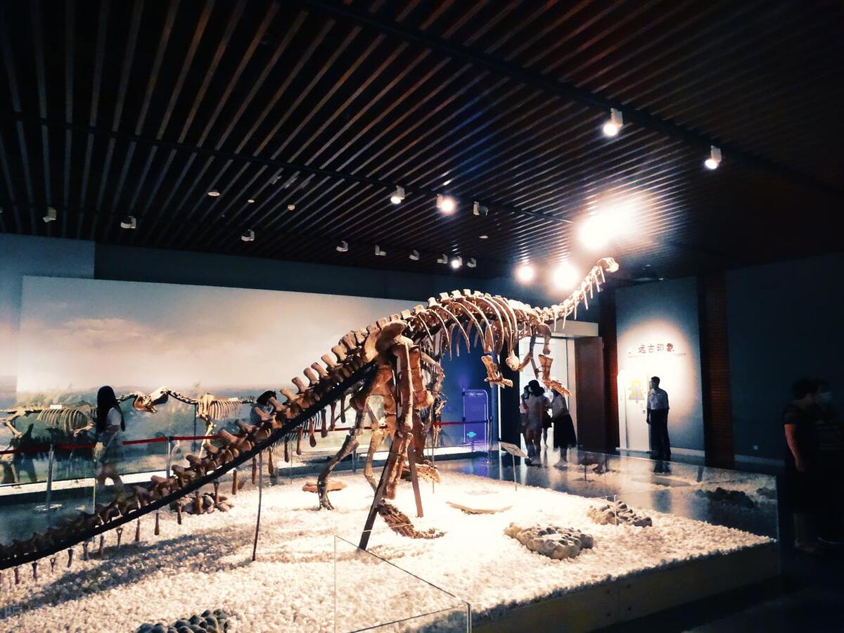 南京带孩子旅游攻略最新,南京亲子游玩攻略一日游价格