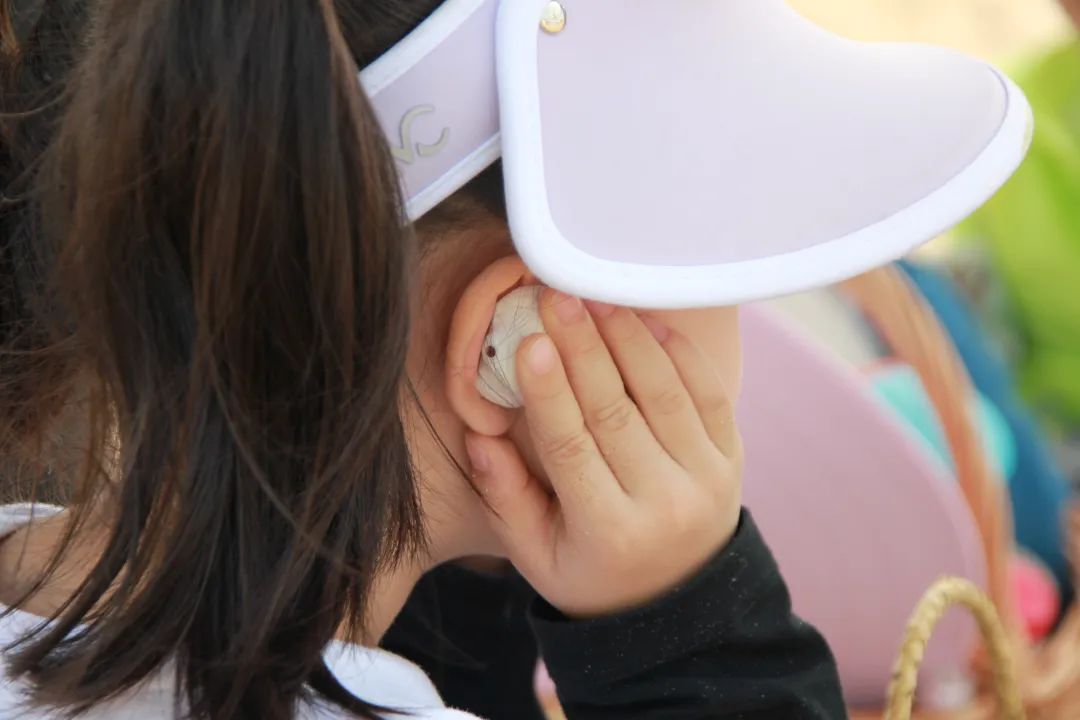 暑期欧洲游夏令营,夏令营旅游海边