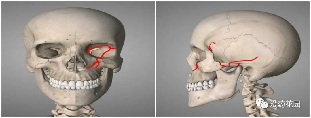 警察调查20年失踪的女子,花季少女失踪七年后发现被害