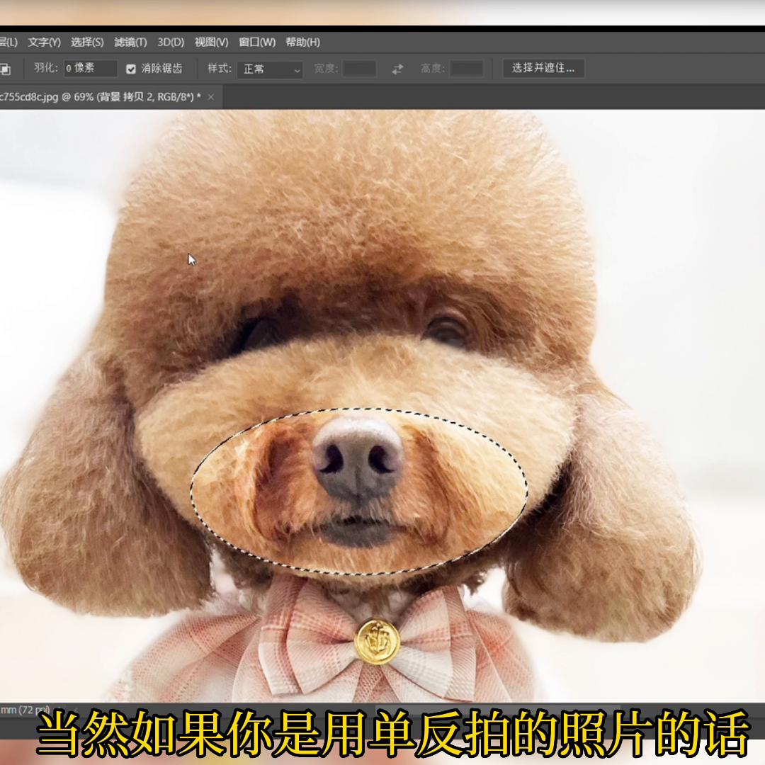 人像美容图片处理软件免费最新版,美容修图工具教程