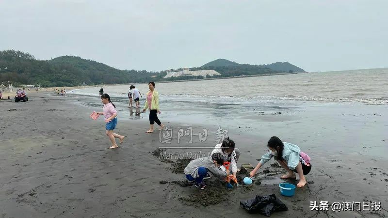 黑沙滩假期人气盛