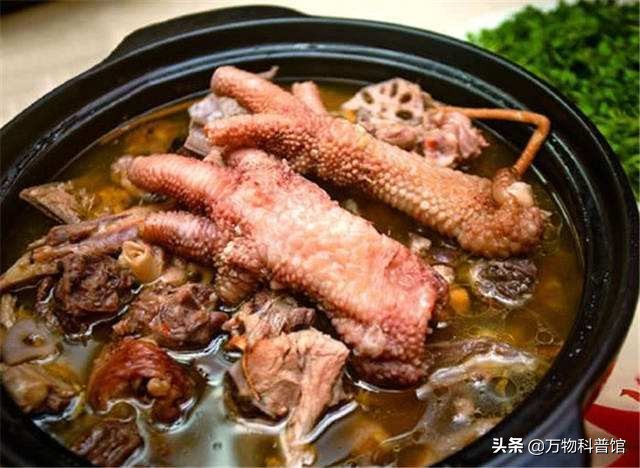 世界上最贵的十种鸡的品种,世界上最值钱的是什么鸡