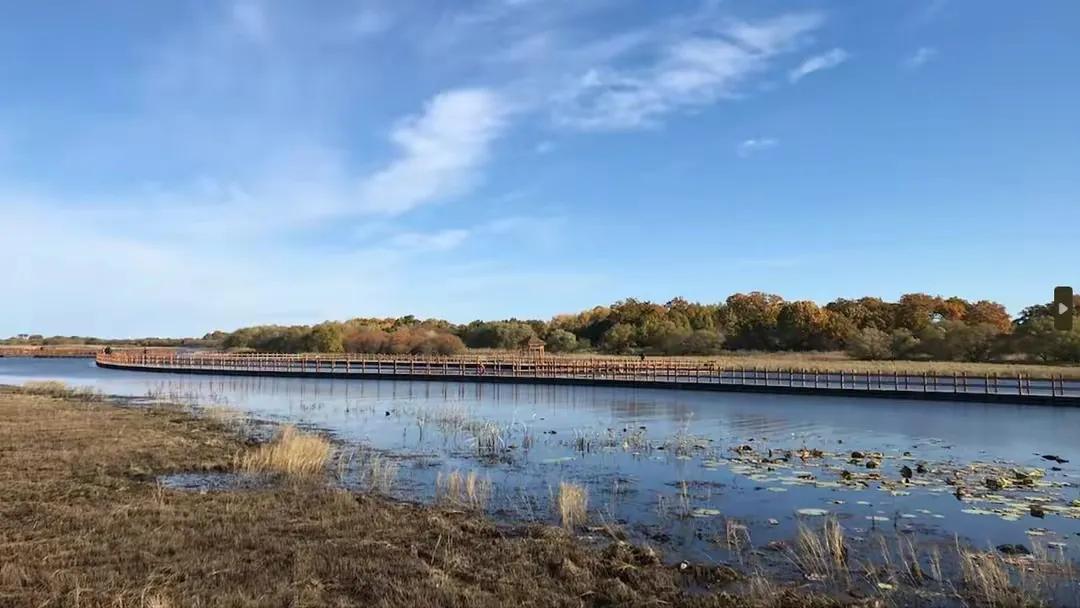 美日韩三国发表声明,台海日本最新24小时消息
