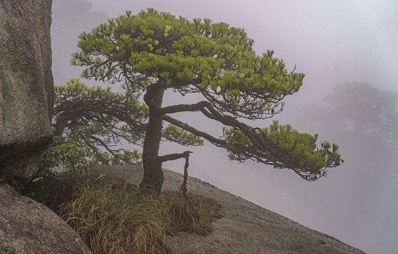 打卡安庆古城,安庆旅游和美食