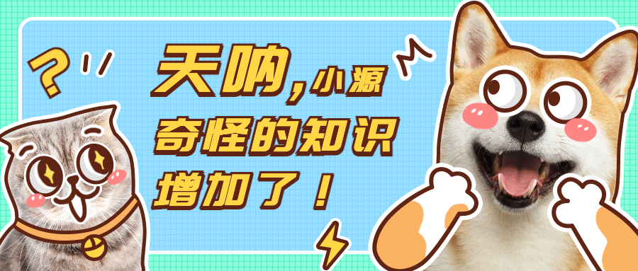 华强北耳机目前最强版有啥缺点,有必要买最新的华强北耳机吗