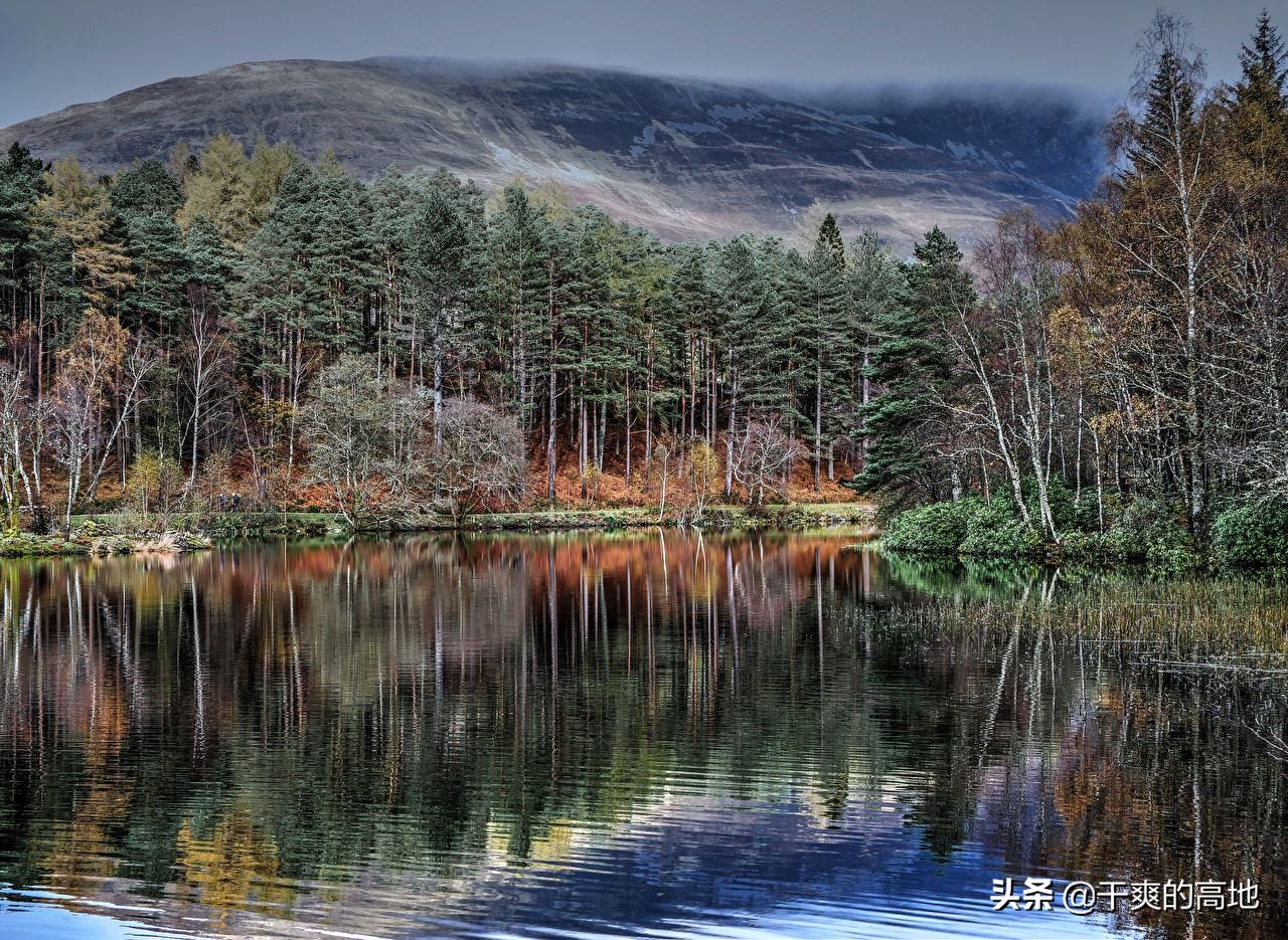 有人评价傅菲的散文语言,散文傅菲成年礼阅读答案