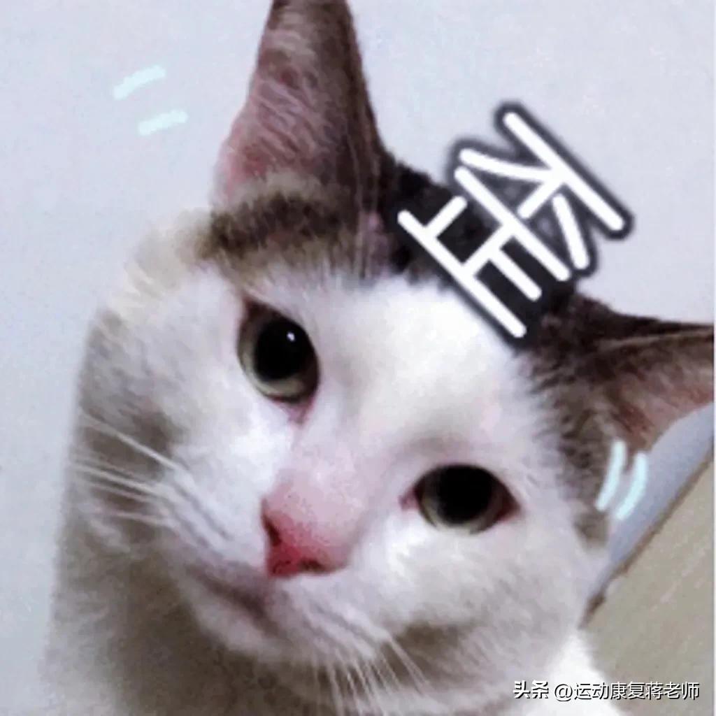 脖子歪左边怎么矫正,脖子歪了睡觉应该注意啥姿势