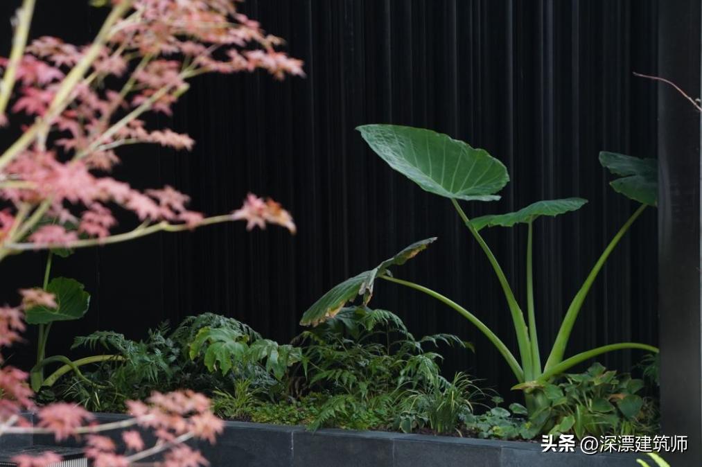 常州市华润润府,常州华润润府143样板间