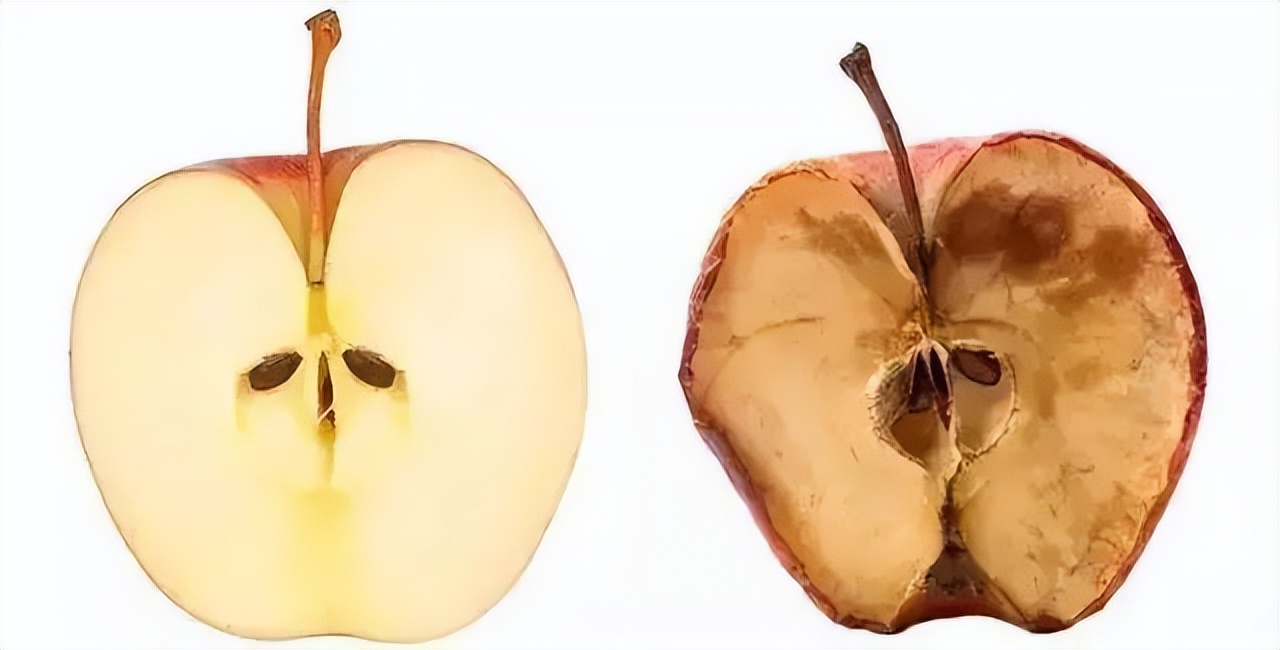 修复皮肤屏障角鲨烷推荐油皮,角鲨烷护肤界的万金油