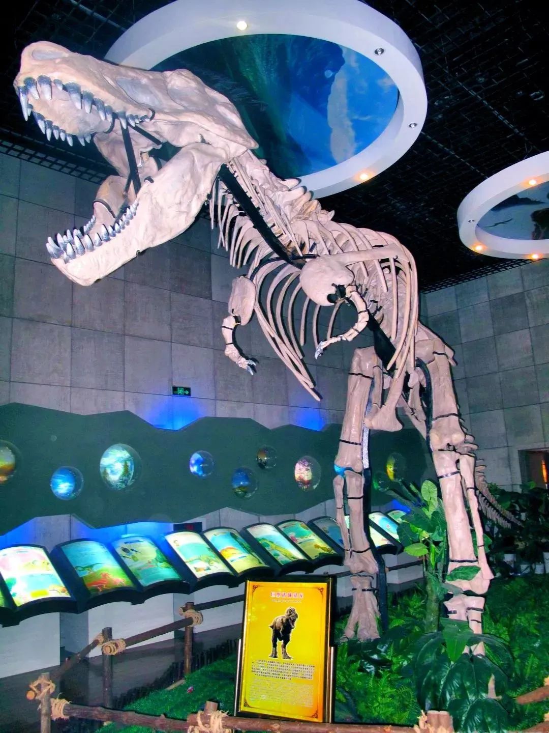 中国十大恐龙图鉴,100种恐龙名字图鉴图文