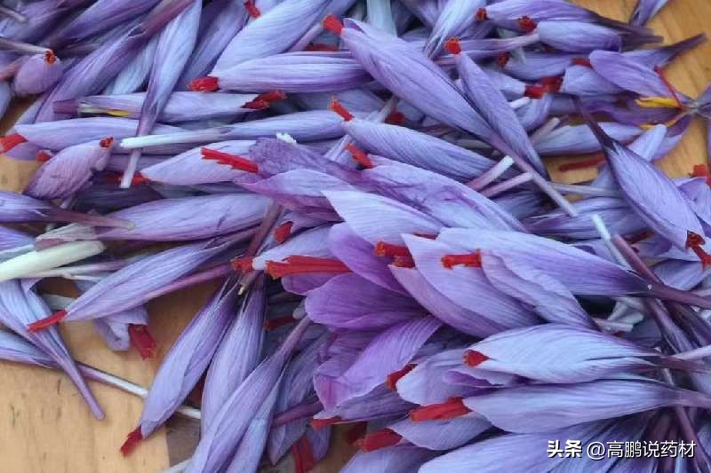 高鹏说药材：2023年药食同源品种种植推荐—西红花