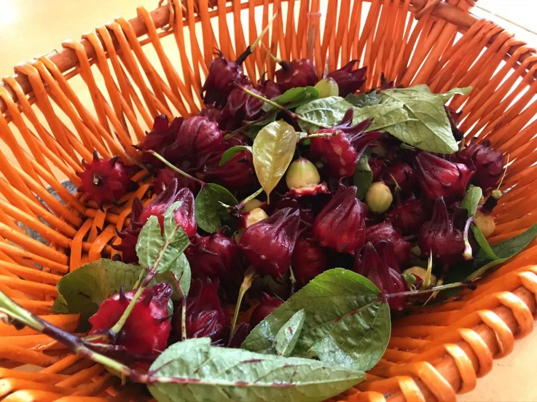 一个有大片绿地、果树、鱼塘、菜地，还有小鸡和鸭子的小岛幼儿园