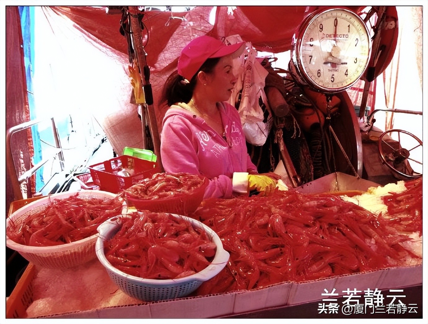加拿大温哥华渔人码头详解,加拿大海鲜市场