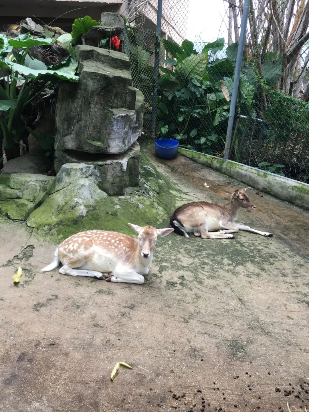旭光电动车行,旭光车行向阳路