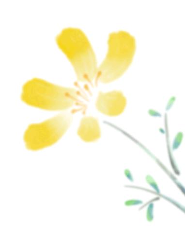 【我喜欢的小动物】王淑迪《我的动物朋友——小仓鼠》（三十六）