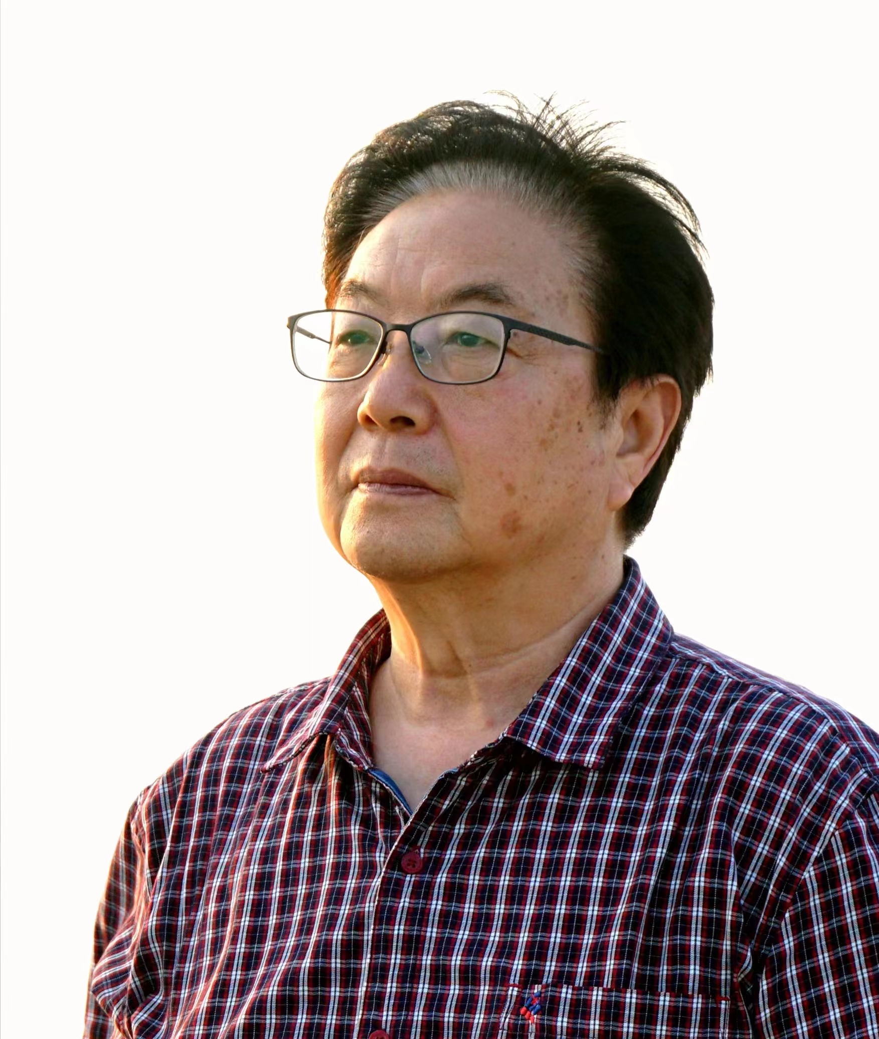 吴振立当代书法大家作品赏析,书法家吴振立作品