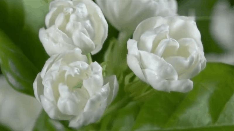 中国最有名的十大神秘城市,最深藏不露的城市