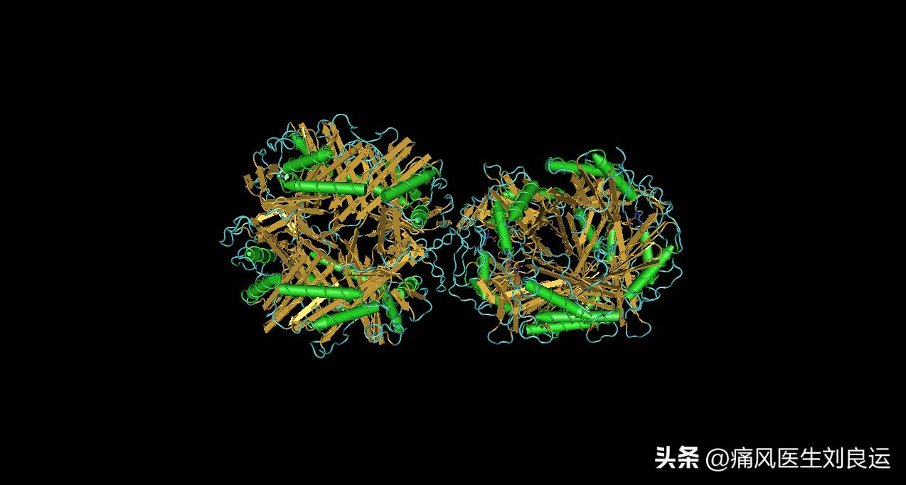 尿酸氧化酶治疗痛风效果好吗,非布司他含有尿酸氧化酶吗