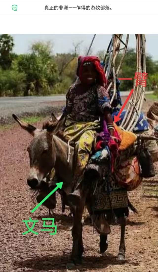 山海经2012白话全译彩图版pdf,山海经海外西经是指哪里