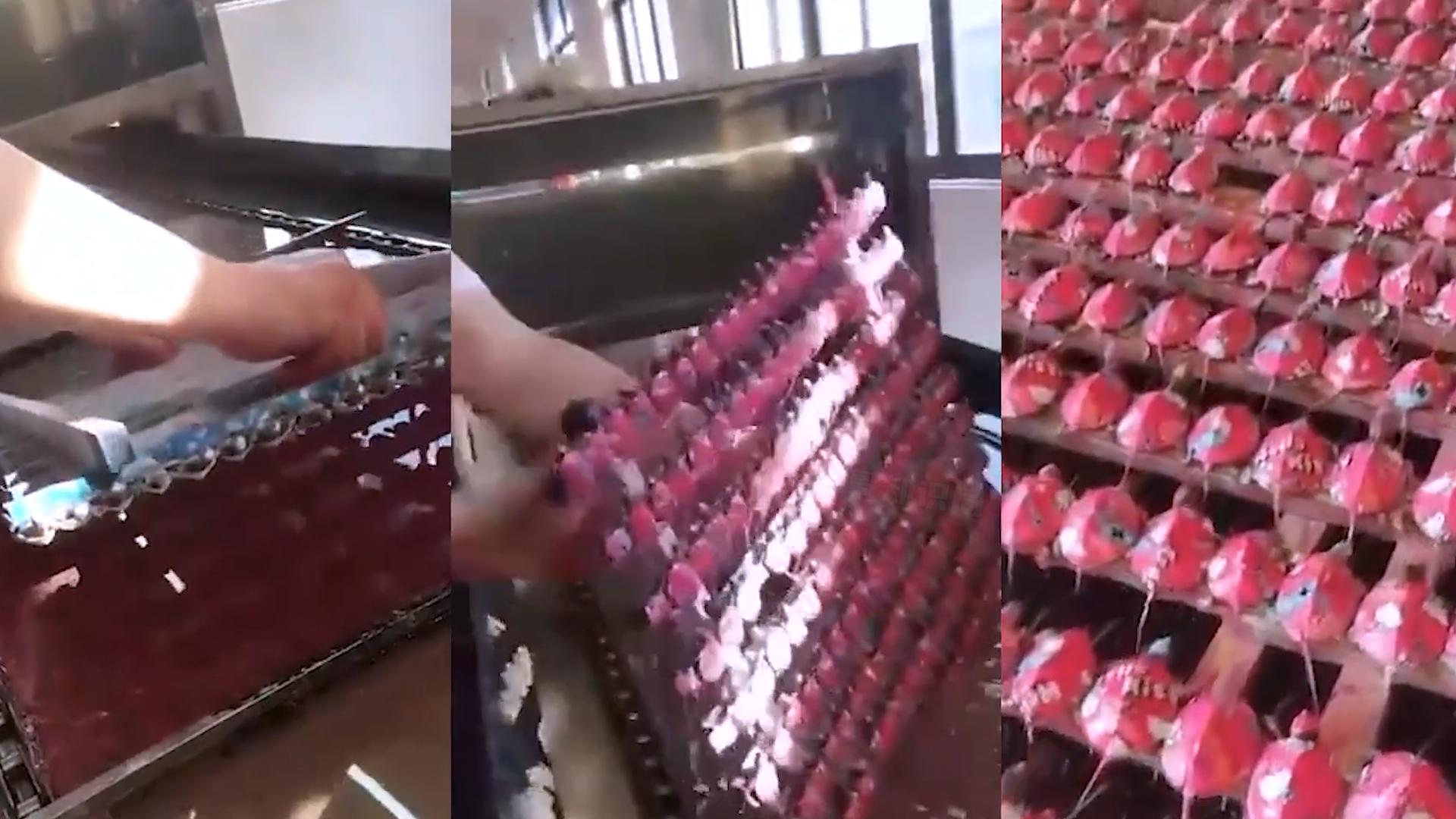 学校门口买的小彩鸡为什么养不活,学校门口的彩色小鸡为什么不能买