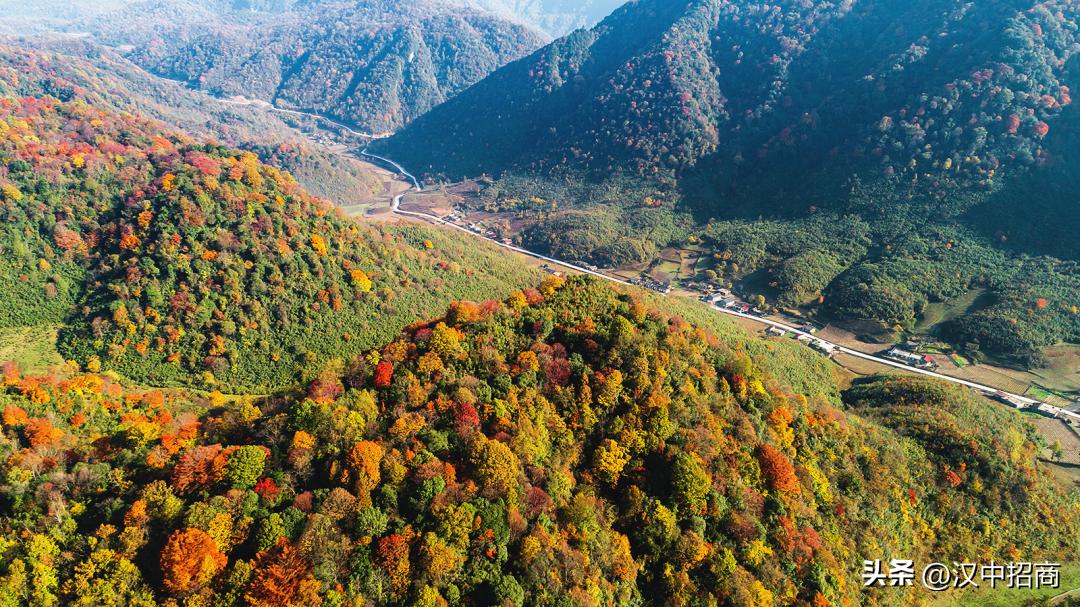 投资旅游项目合作方案,投资项目2024