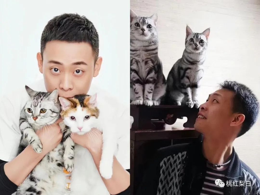 张译的演技特点和流派,圈内人如何评价张译的演技