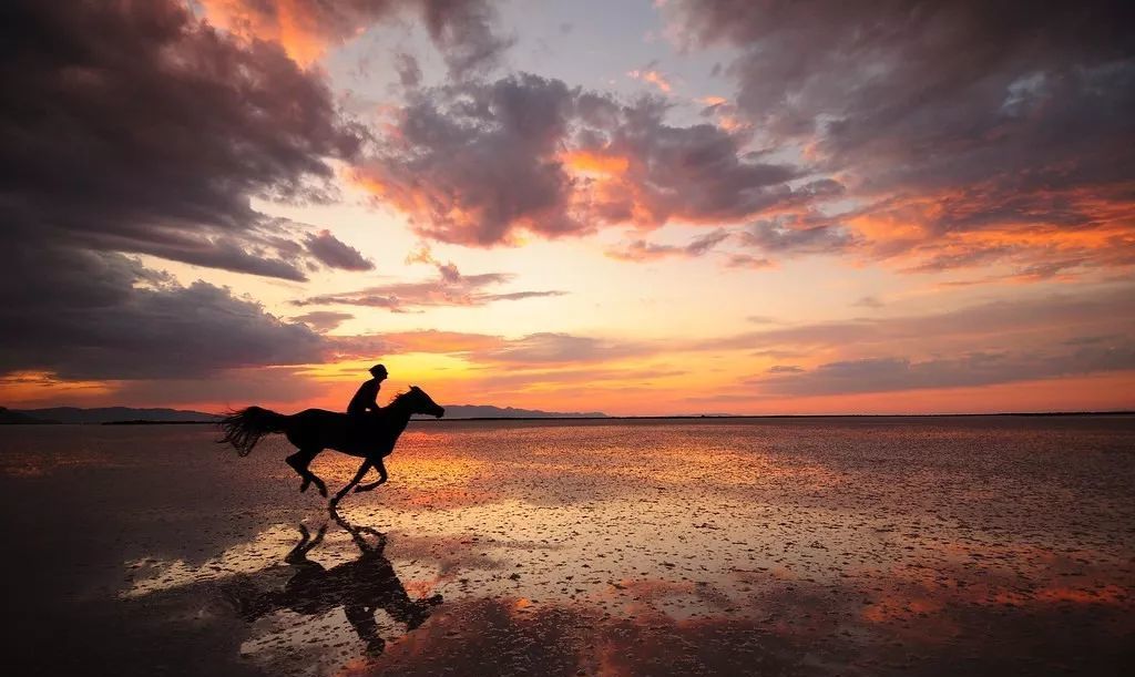 2023华杯赛夏令营,华誉外交官