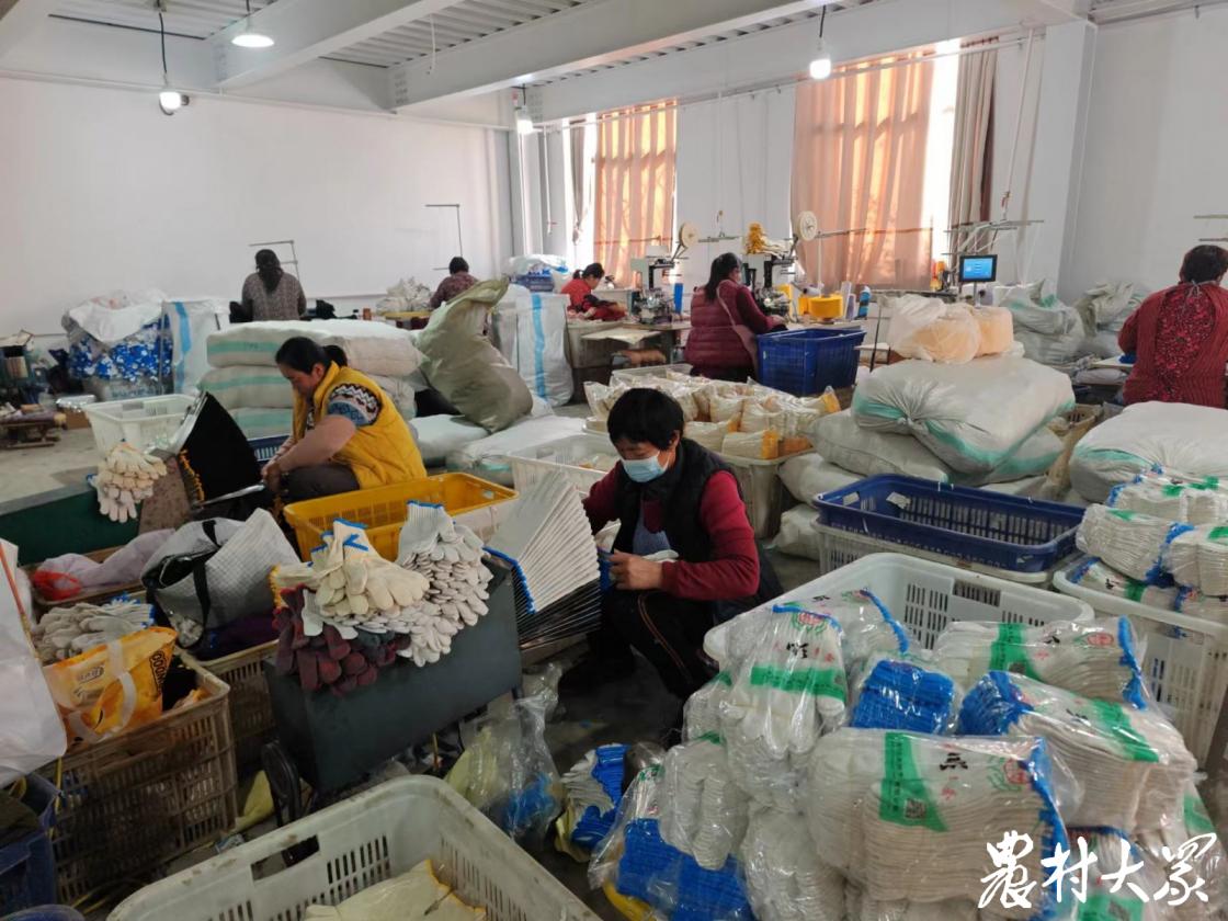 老有所为工作情况汇报,老有所为工作