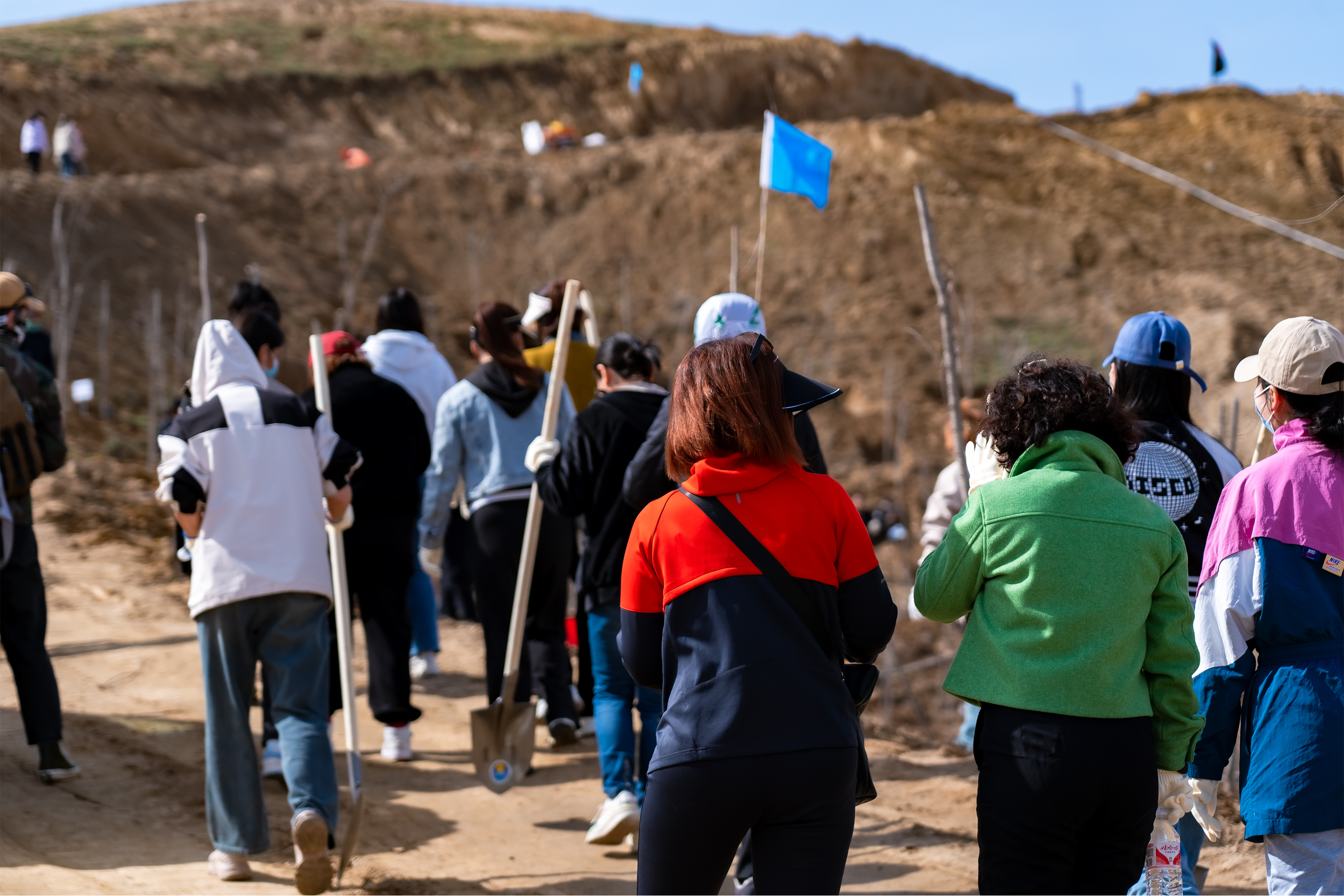 春季植绿正当时米东区再添380亩新绿