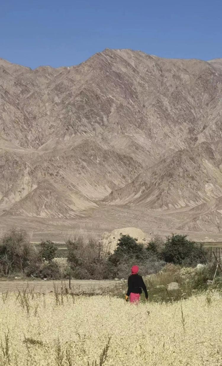 李娟的冬牧场,李娟冬牧场经典语录