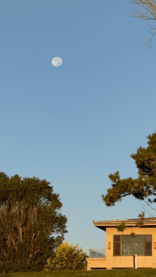 iphone15promax5倍长焦摄影技巧,5倍长焦拍人像