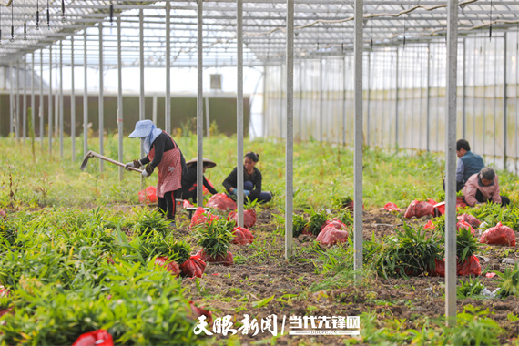 从“藏于深闺”到“迎来春天”!天柱探索“生态+”不断激活“绿色引擎”