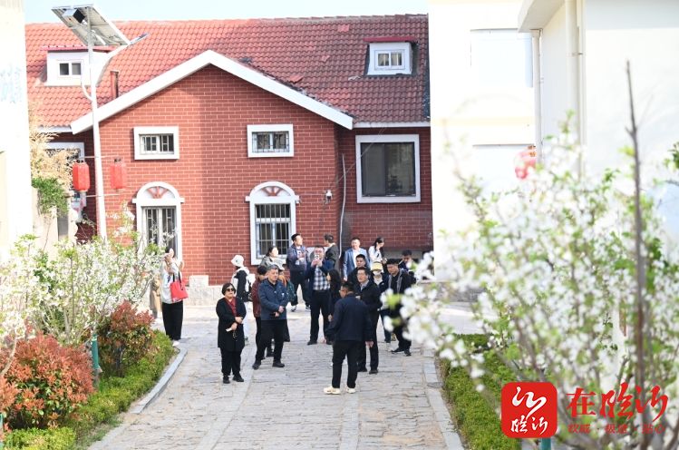 巍峨崂山,链起青岛万般美——“山海之约·交换春天”网络大V采风行活动侧记之三