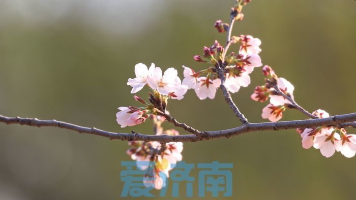 娓歌娉夊煄鍏洯,娉夊煄鍏洯娓歌