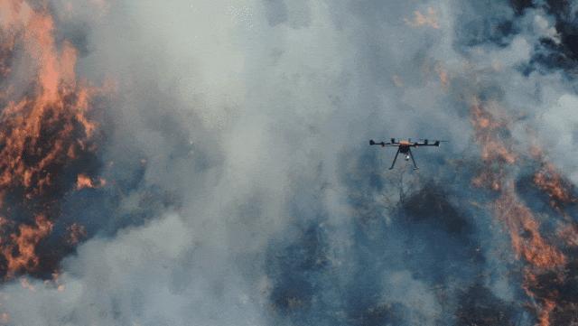 筑牢森林消防安全防火墙,筑牢森林防火安全防线