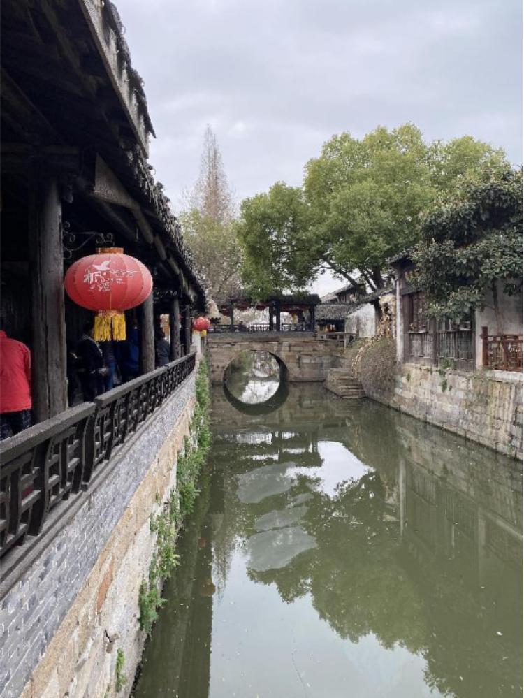 早上海头条㉞志愿者“老记”在周到平台连连发文收获大;梅花未谢,春花已浓;春天就要吃这些“鲜”味……