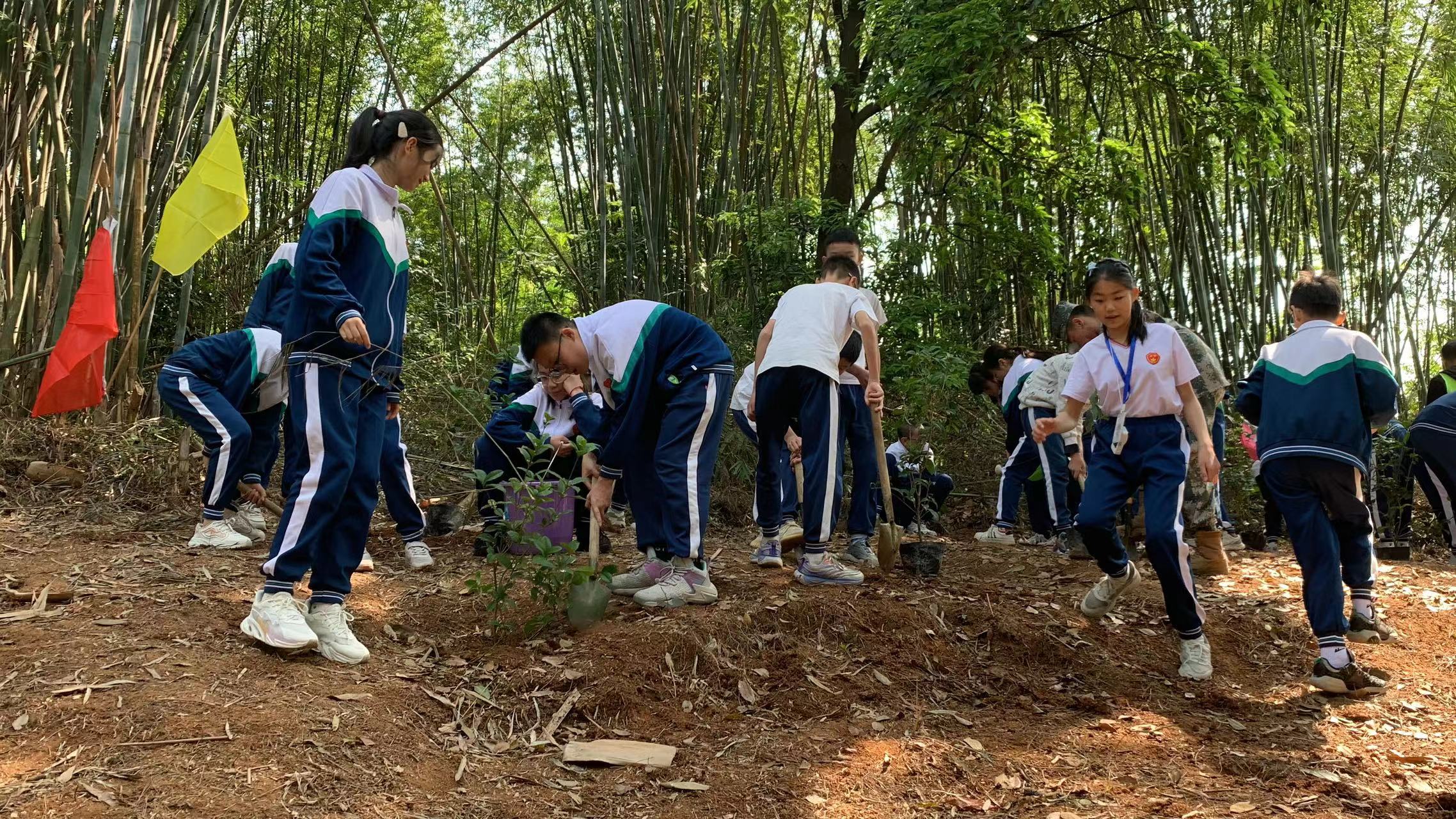 植树研学活动,植树节研学游活动