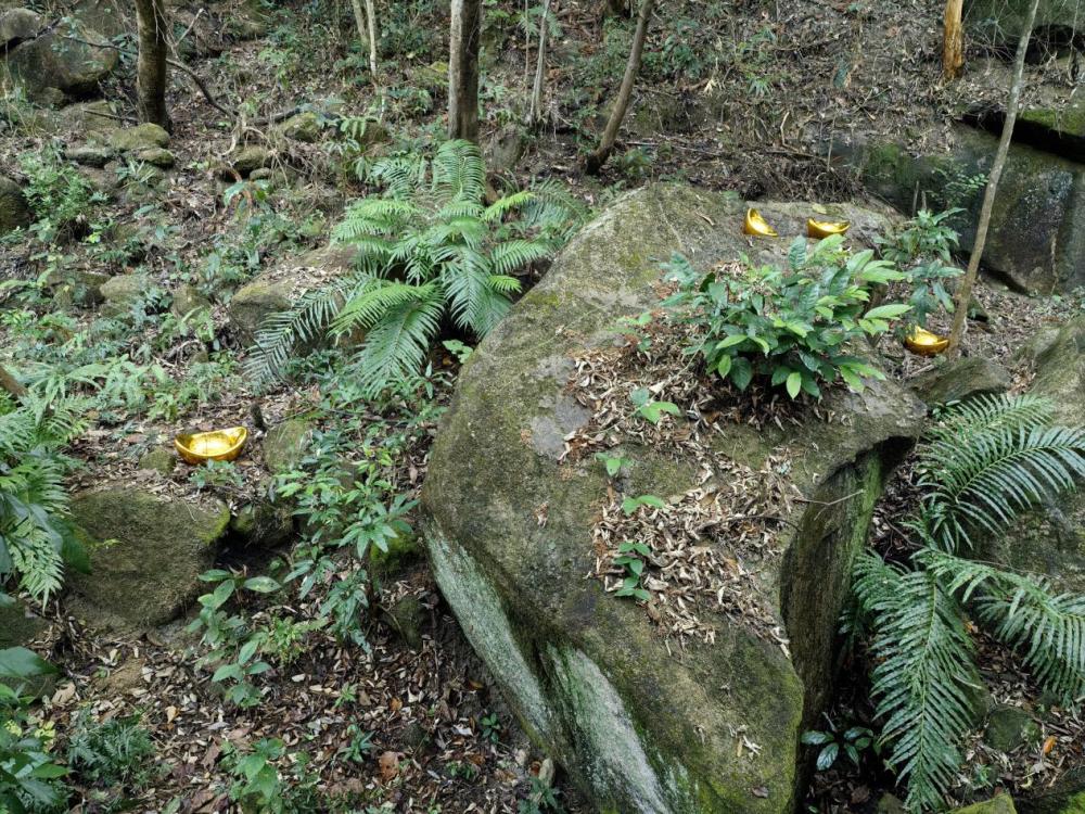 龙年抽龙签,龙年抽福签