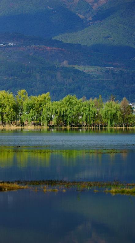 万千气象看云南丨洱源：问渠那得清如许