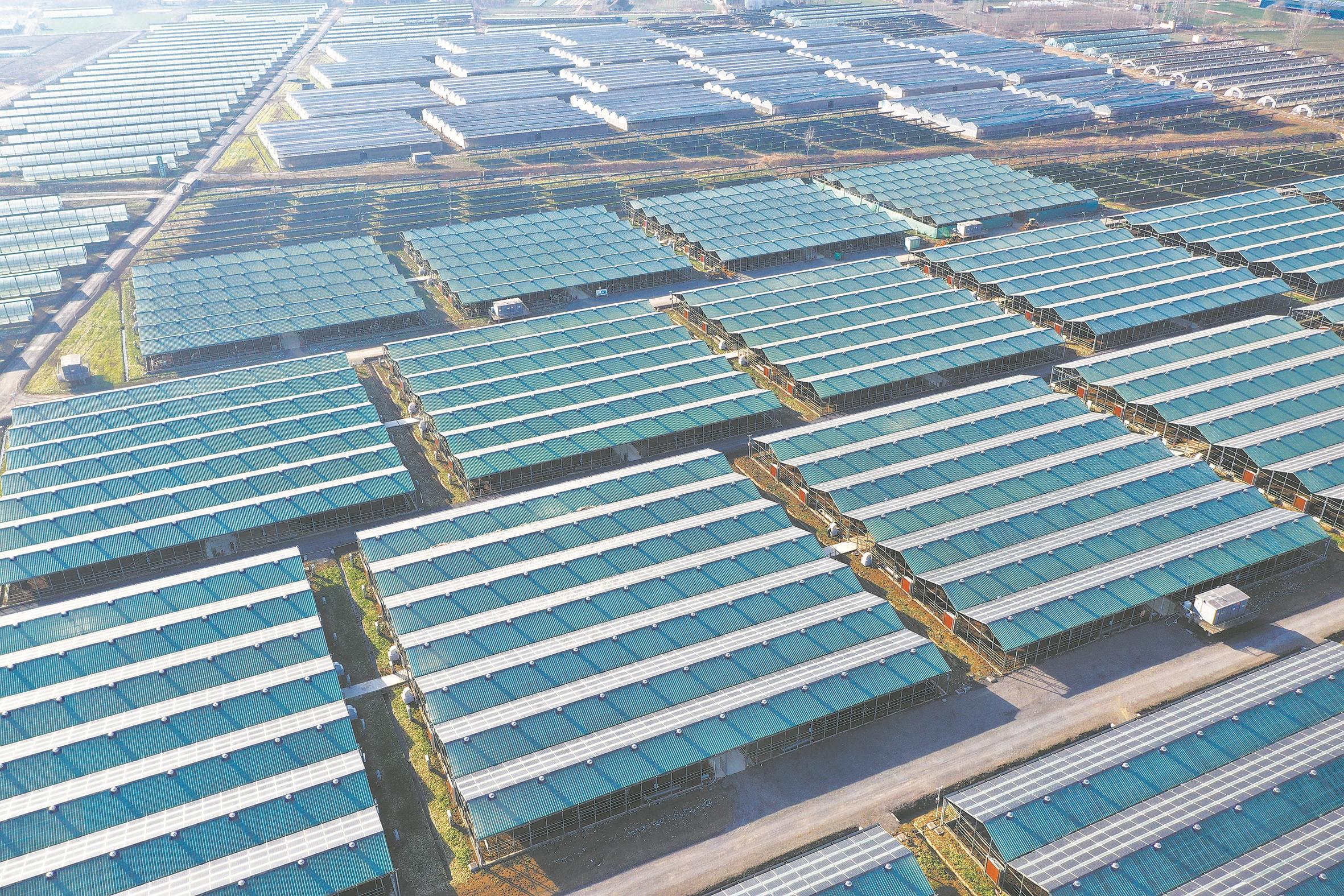 未来发展十大新兴产业,支持十大新兴产业发展