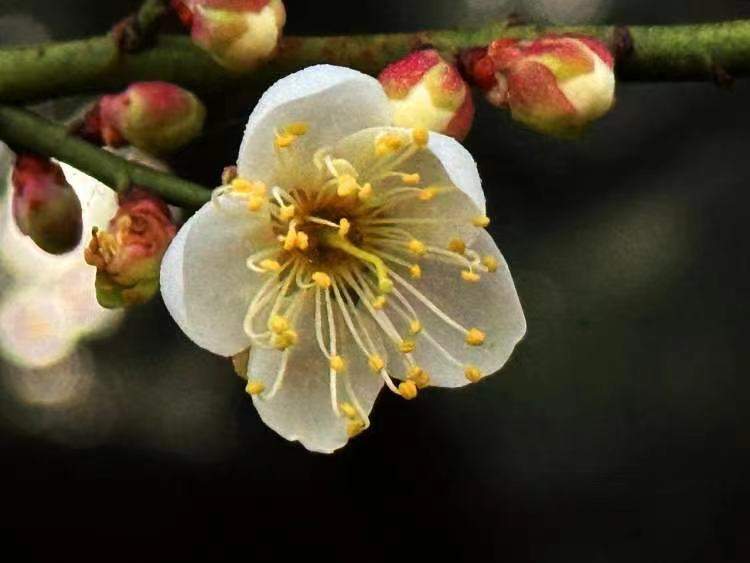 乍浦路酱园打卡,上海头条早餐打卡