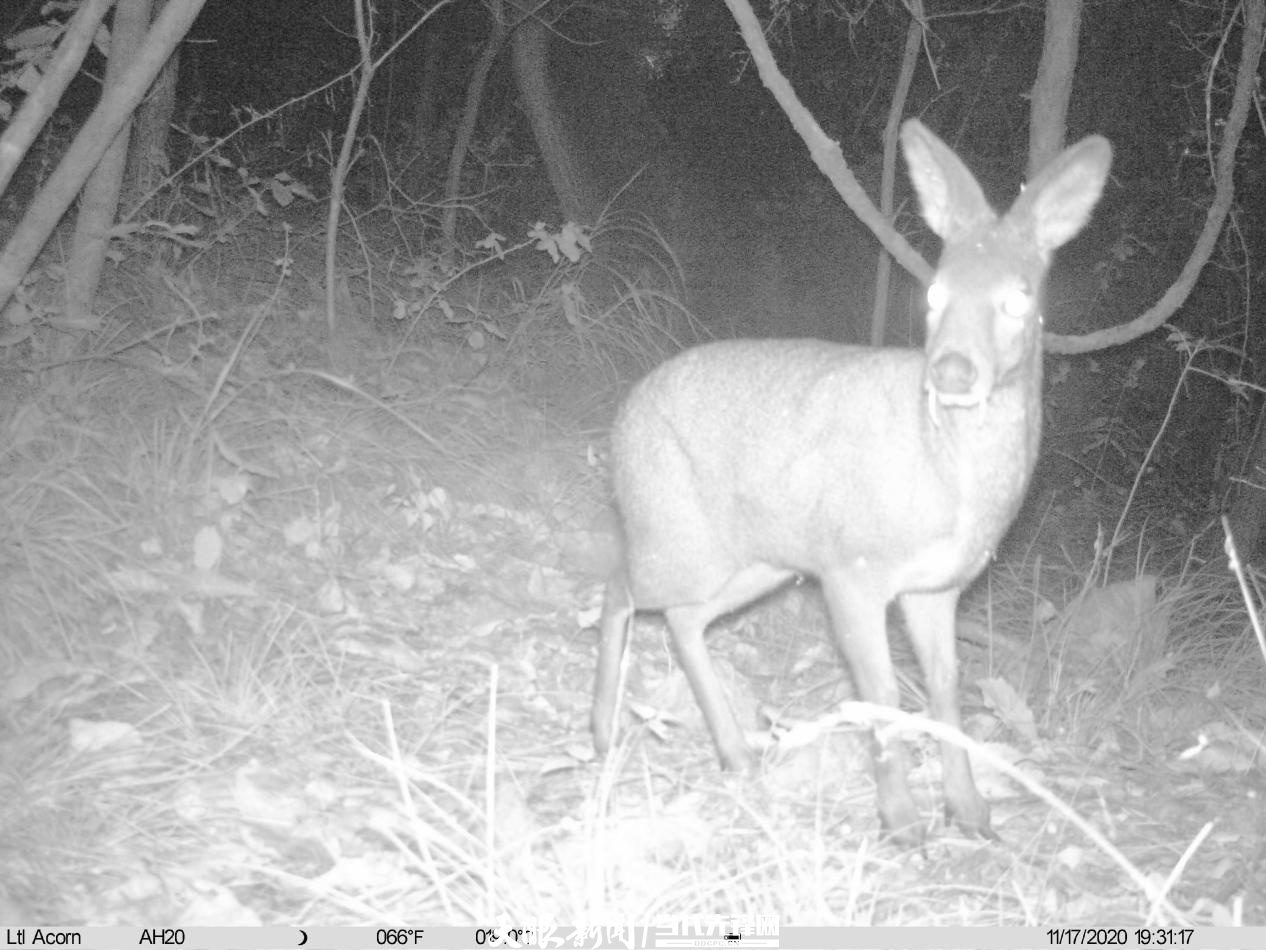 千园之城贵阳公园,千园之城贵阳绝美视频