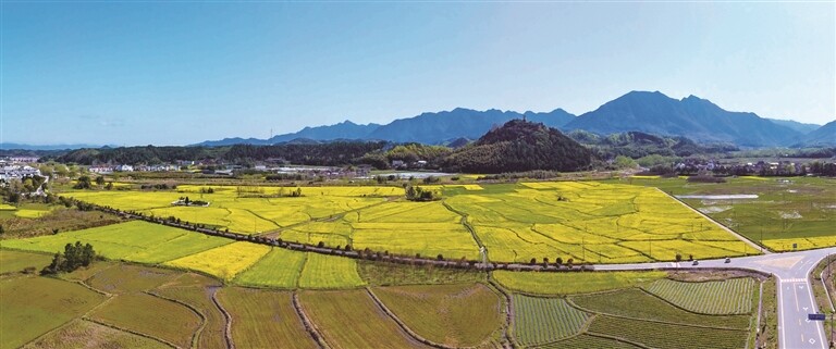 徽韵泾县,泾县徽古文艺
